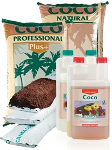 CANNA COCO