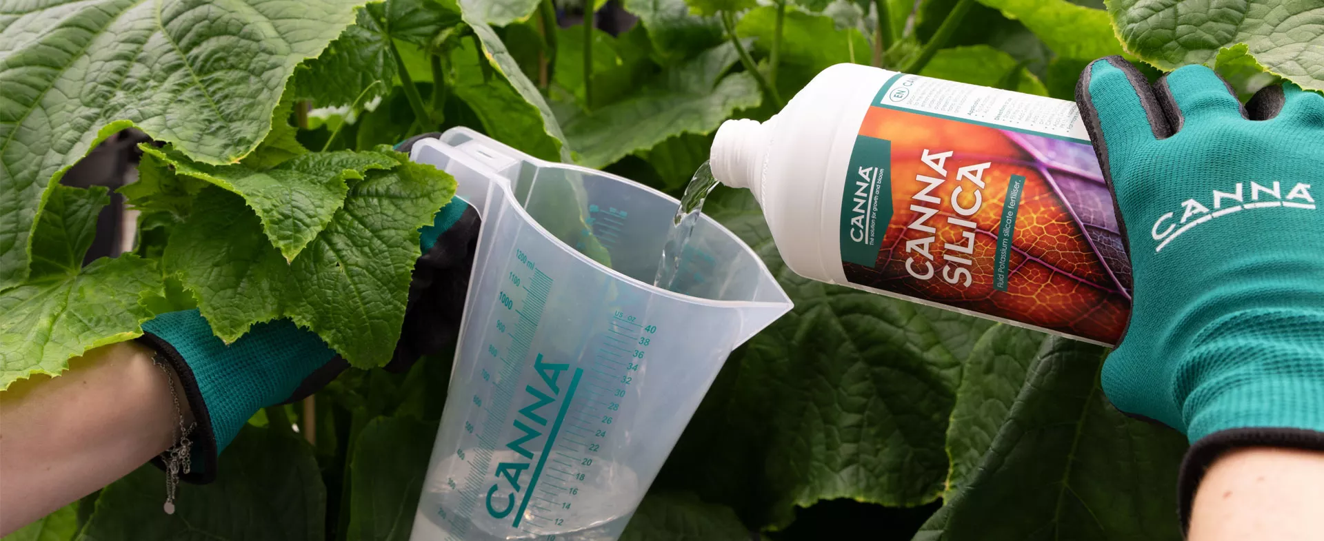 CANNA Silica