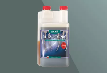CANNA RHIZOTONIC