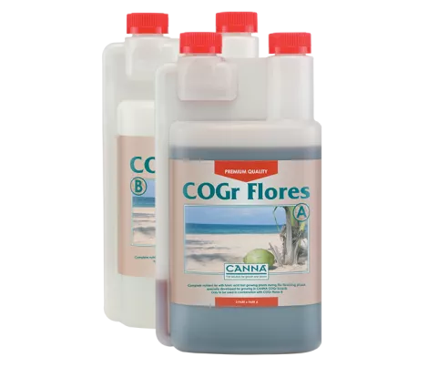 CANNA COGr Flores