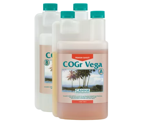 CANNA COGr Vega